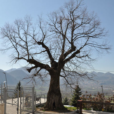 Bagnoli Irpino Castello Cavaniglia4
