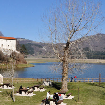 Laceno bis