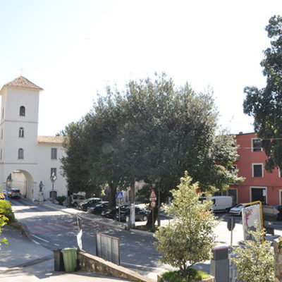 Mercogliano8