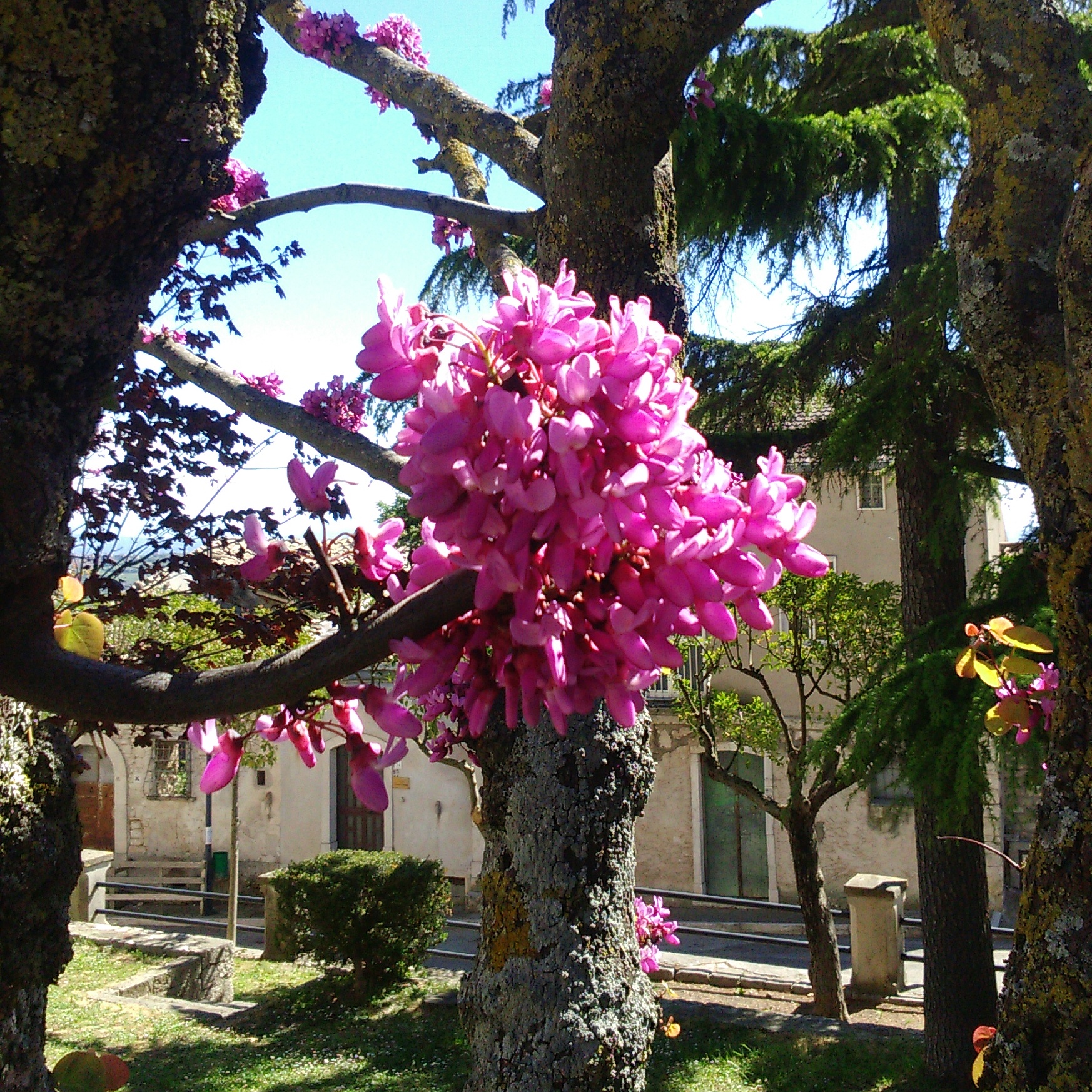 Museo dei Castelli di Casalbore