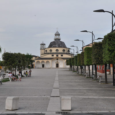 Lioni 8