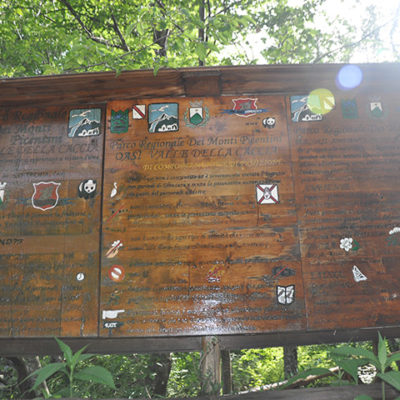 Senerchia Oasi Valle della Caccia (8)