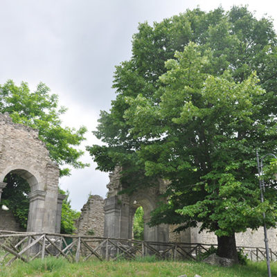 Sant'Andrea di Conza 11