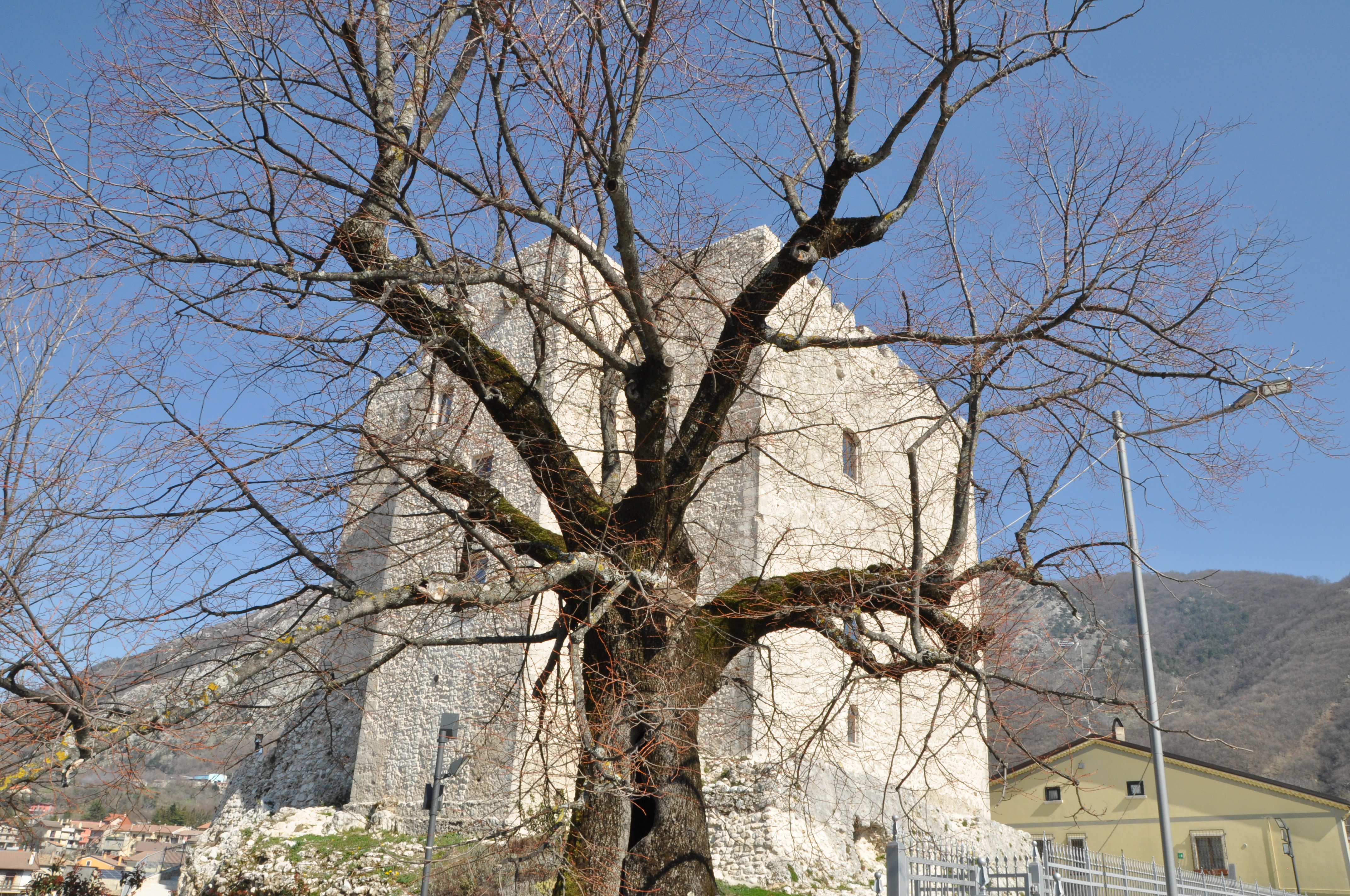 La CASTAGNA IGP e il TARTUFO NERO.