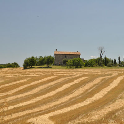 Lacedonia (4)