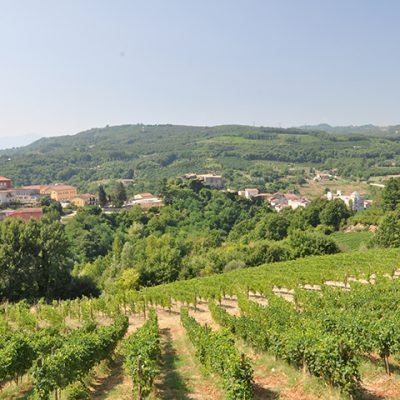 Tufo (6)